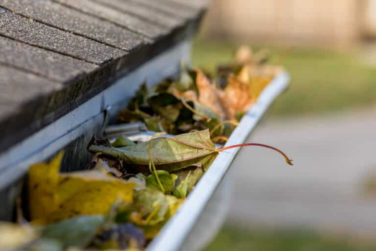 rain gutter cleaning Ennis TX